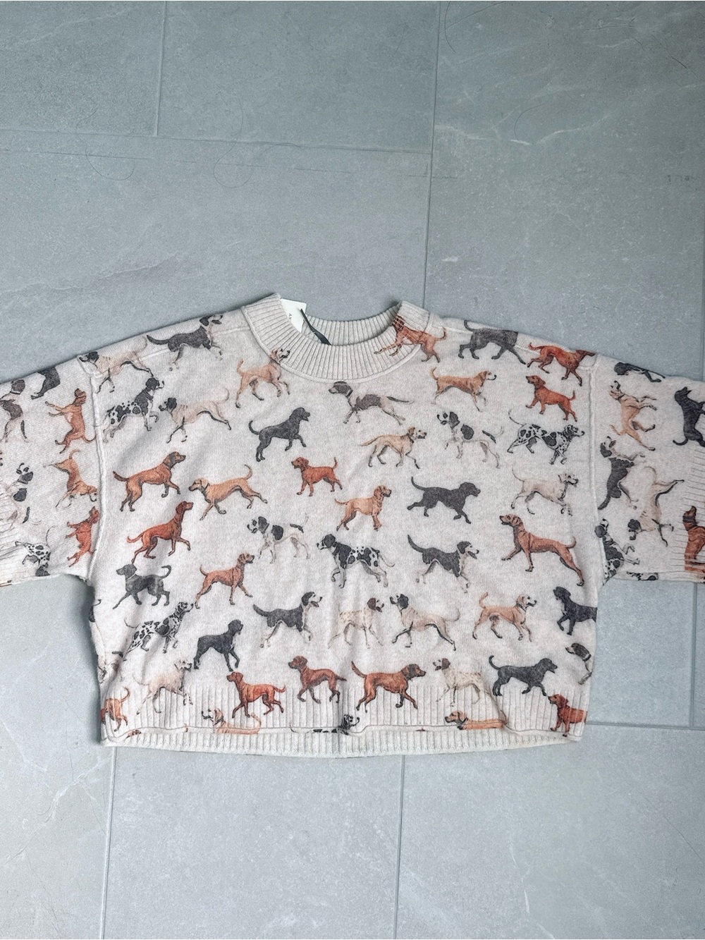 NWT By Anthropologie Goldie Crew-Neck 100% Cashmere Sweater Dog Lover - Picture 2 of 8